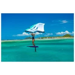 Aile De Wing Duotone Slick Mint/White -Surf Promotion Boutique d2e9d5870bba3590a3d1aefd1c29f101585b54b4 E23DUOTWAT3399392 903