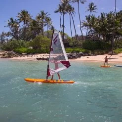 Voile De Windsurf Fanatic Rig Ripper 11 Voile De Windsurf Fanatic Rig Ripper -Surf Promotion Boutique fa6993210a31c10674226efe82774f38e143b383 H22FNATWAT346095 12